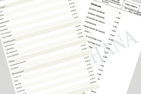 GC/MS report