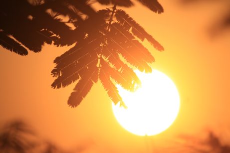 fototoxicita