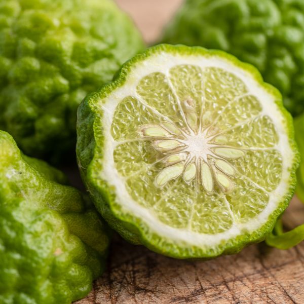 bergamot 