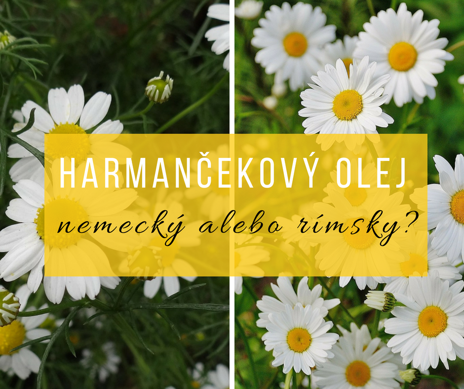 harmančekový esenciálny olej