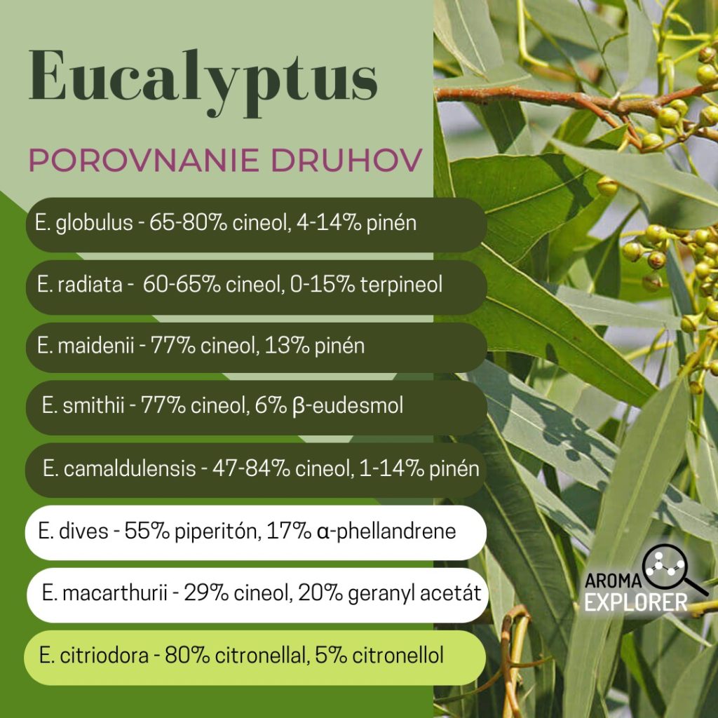 Prehľad eukalyptových olejov - infografika